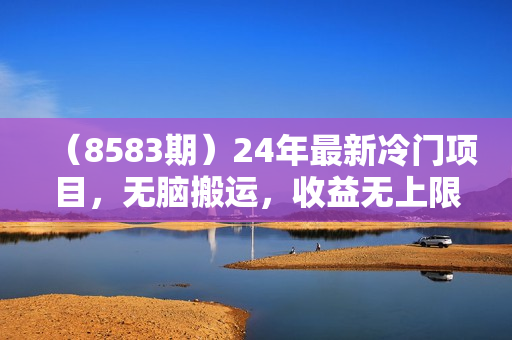 （8583期）24年最新冷门项目，无脑搬运，收益无上限，轻松日入500＋，保姆级落地教程