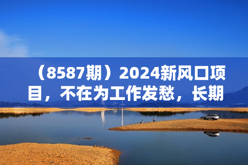 （8587期）2024新风口项目，不在为工作发愁，长期稳定，日入过千 逆风翻盘不是梦