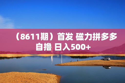 （8611期）首发 磁力拼多多自撸 日入500+