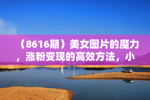 （8616期）美女图片的魔力，涨粉变现的高效方法，小白保姆级教程！