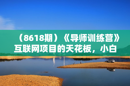 （8618期）《导师训练营》互联网项目的天花板，小白月入2w