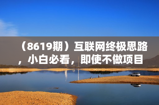 （8619期）互联网终极思路，小白必看，即使不做项目也能轻松月入两三万，拒绝韭菜