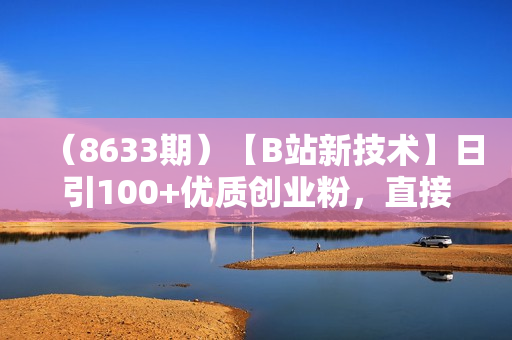 （8633期）【B站新技术】日引100+优质创业粉，直接套模式，快速搞网赚粉