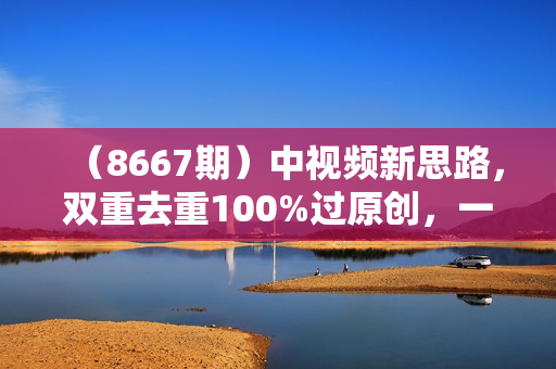 （8667期）中视频新思路，双重去重100%过原创，一键分发多平台变现，简单无脑，日