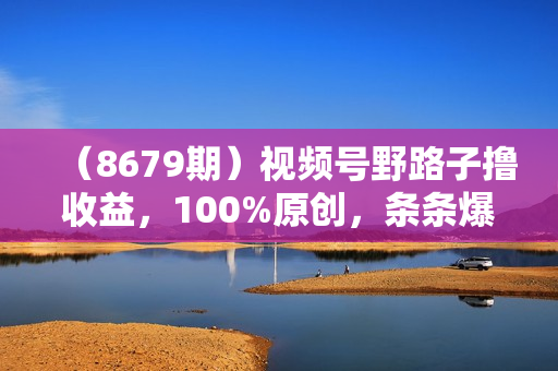 （8679期）视频号野路子撸收益，100%原创，条条爆款，月入6000＋