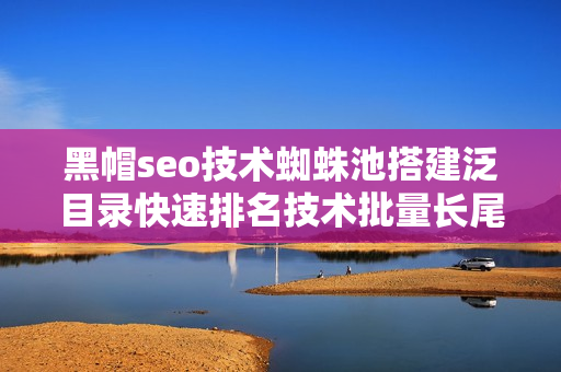 黑帽seo技术蜘蛛池搭建泛目录快速排名技术批量长尾关键词操作全套工具+教程