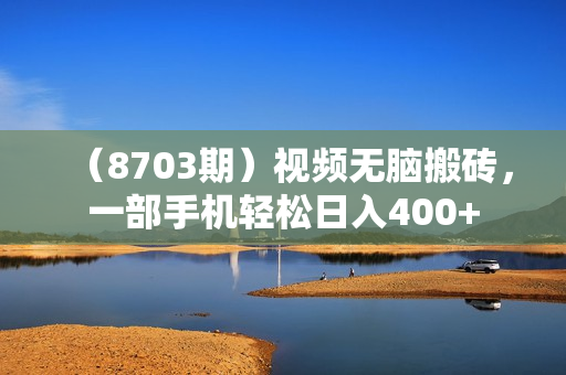 （8703期）视频无脑搬砖，一部手机轻松日入400+