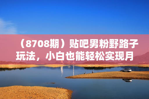 （8708期）贴吧男粉野路子玩法，小白也能轻松实现月入3000+