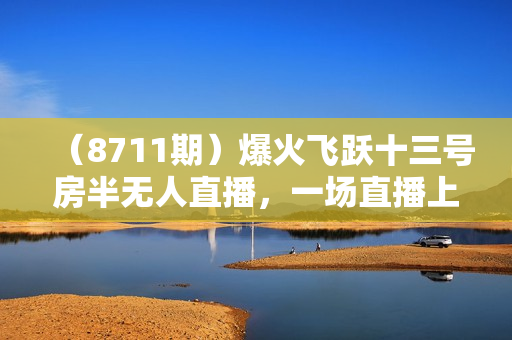 （8711期）爆火飞跃十三号房半无人直播，一场直播上千人，日入过万！（附软件）
