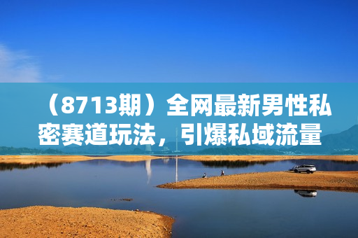 （8713期）全网最新男性私密赛道玩法，引爆私域流量，轻松日入2000+