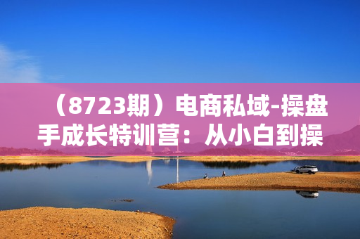 （8723期）电商私域-操盘手成长特训营：从小白到操盘手全程实战分享-24节线上课