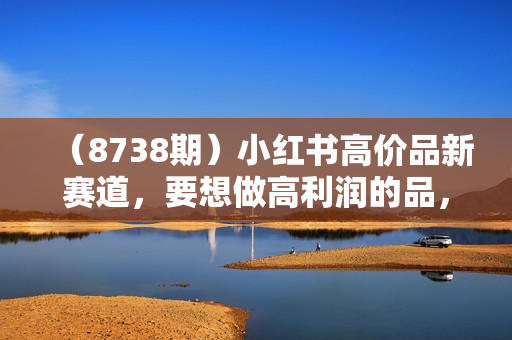 （8738期）小红书高价品新赛道，要想做高利润的品，一定要学会找差异化【某付费文章】