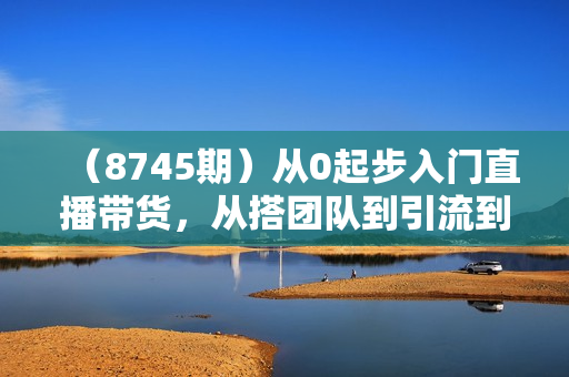 （8745期）从0起步入门直播带货，从搭团队到引流到转化全面助力GMV起步
