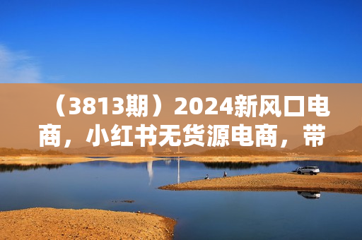 （3813期）2024新风口电商，小红书无货源电商，带第一批冲进小红书电商风口