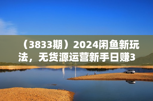 （3833期）2024闲鱼新玩法，无货源运营新手日赚300+【视频教程】