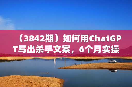 （3842期）如何用ChatGPT写出杀手文案，6个月实操经验，快速写出收钱文案