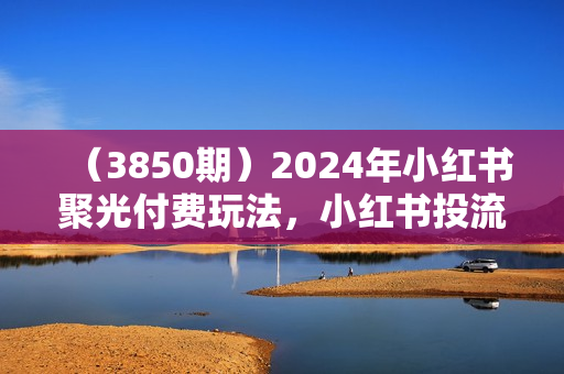 （3850期）2024年小红书聚光付费玩法，小红书投流，充钱就开挂