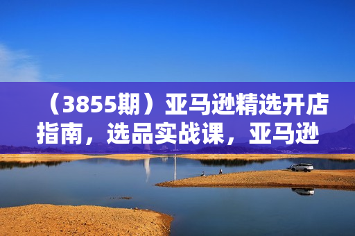 （3855期）亚马逊精选开店指南，选品实战课，亚马逊如何从0基础快速到出单