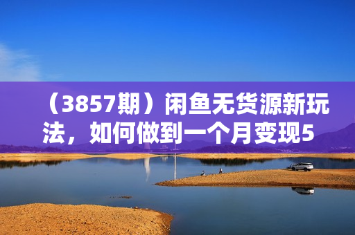 （3857期）闲鱼无货源新玩法，如何做到一个月变现5W【揭秘】