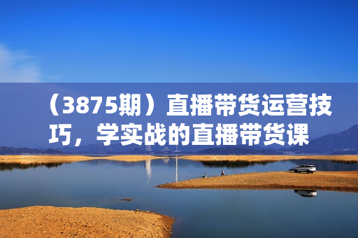 （3875期）直播带货运营技巧，学实战的直播带货课