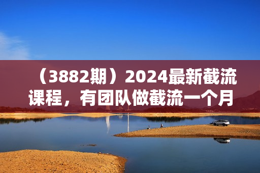 （3882期）2024最新截流课程，有团队做截流一个月35万利润，团队4个人