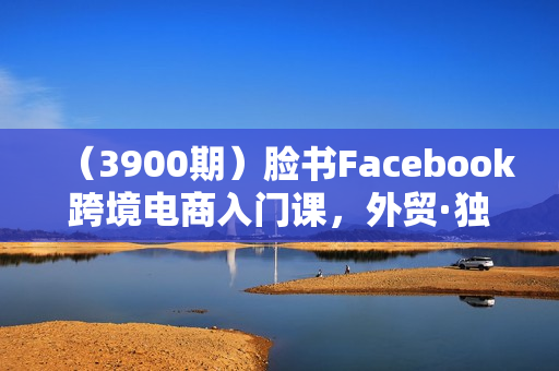 （3900期）脸书Facebook跨境电商入门课，外贸·独立站必修