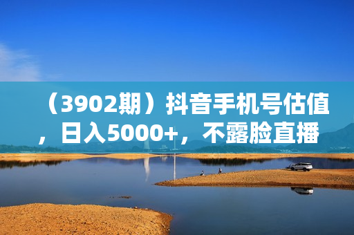 （3902期）抖音手机号估值，日入5000+，不露脸直播，小白秒上手【揭秘】