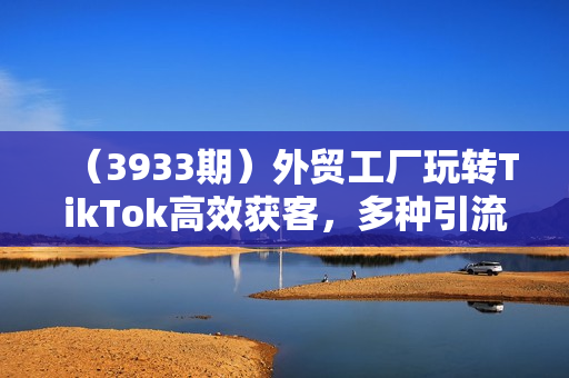 （3933期）外贸工厂玩转TikTok高效获客，多种引流方式与账号定位技巧，拆解爆款短视频打造成功案例