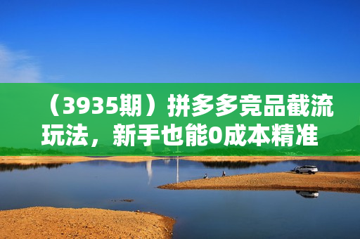 （3935期）拼多多竞品截流玩法，新手也能0成本精准截流