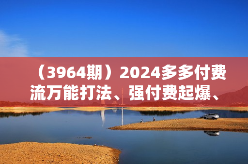 （3964期）2024多多付费流万能打法、强付费起爆、流量逻辑、高转化、高投产【揭秘】
