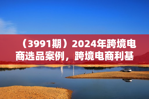 （3991期）2024年跨境电商选品案例，跨境电商利基选品