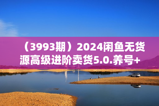 （3993期）2024闲鱼无货源高级进阶卖货5.0.养号+选品+上架+优化+出单整套流程【揭秘】