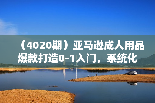 （4020期）亚马逊成人用品爆款打造0-1入门，系统化讲解亚马逊成人用品爆款打造的流程
