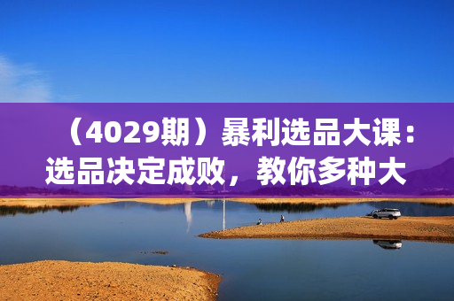 （4029期）暴利选品大课：选品决定成败，教你多种大爆款选品方法(12节课)