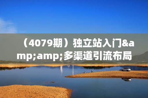 （4079期）独立站入门&amp;多渠道引流布局策略，详解独立站如何多渠道引流获客