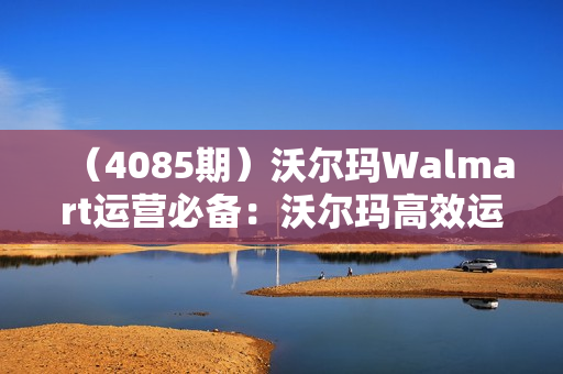 （4085期）沃尔玛Walmart运营必备：沃尔玛高效运营技巧