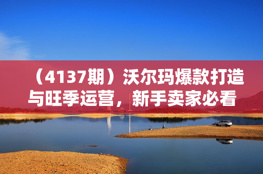 （4137期）沃尔玛爆款打造与旺季运营，新手卖家必看