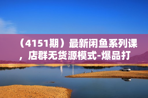 （4151期）最新闲鱼系列课，店群无货源模式-爆品打造硬件+软件+人工