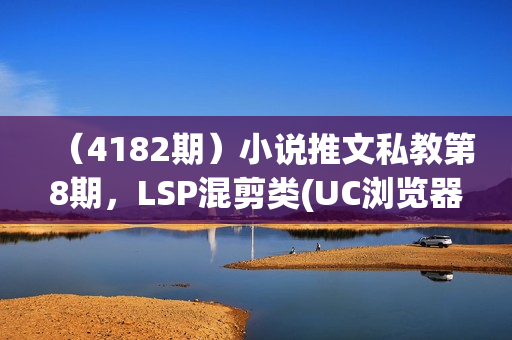（4182期）小说推文私教第8期，LSP混剪类(UC浏览器)