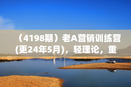 （4198期）老A营销训练营(更24年5月)，轻理论，重实战，轻概念，重本质
