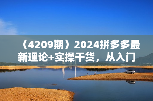 （4209期）2024拼多多最新理论+实操干货，从入门到精通全链路多角度学习
