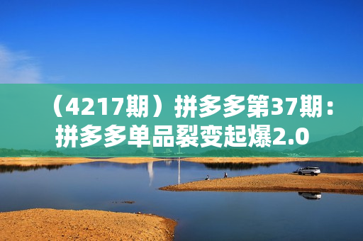 （4217期）拼多多第37期：拼多多单品裂变起爆2.0