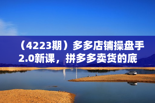 （4223期）多多店铺操盘手2.0新课，拼多多卖货的底层逻辑，打造爆款的3个周期