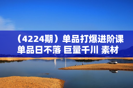 （4224期）单品打爆进阶课 单品日不落 巨量千川 素材指挥千川