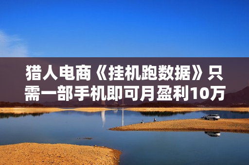 猎人电商《挂机跑数据》只需一部手机即可月盈利10万+（内部玩法）