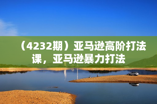 （4232期）亚马逊高阶打法课，亚马逊暴力打法