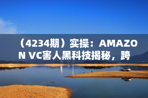 （4234期）实操：AMAZON VC害人黑科技揭秘，跨境亚马逊教程