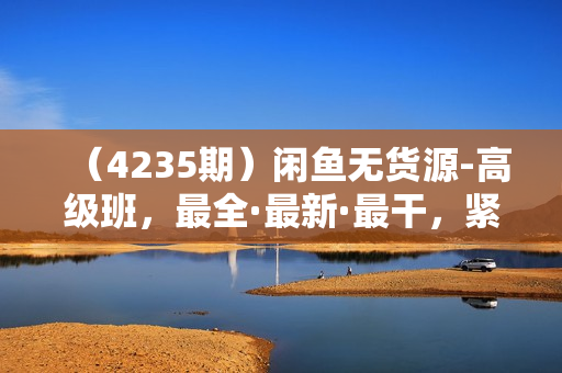 （4235期）闲鱼无货源-高级班，最全·最新·最干，紧贴热点 深度学习
