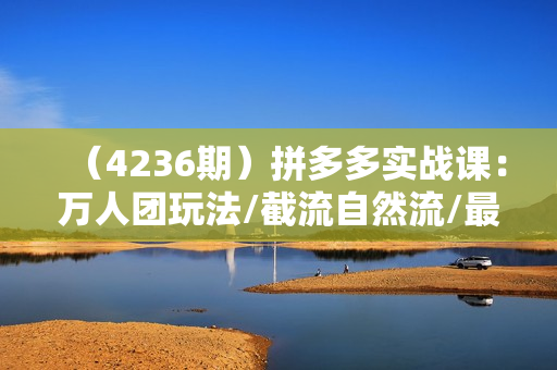 （4236期）拼多多实战课：万人团玩法/截流自然流/最新强付费打法/最新原价卡大促..