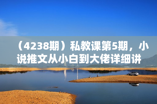 （4238期）私教课第5期，小说推文从小白到大佬详细讲解